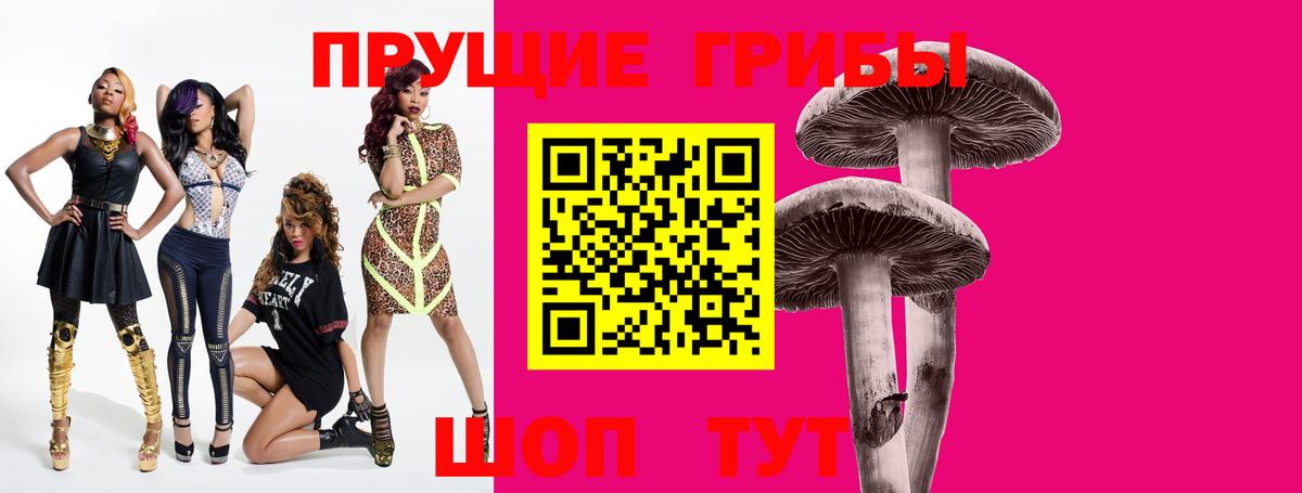 Псилоцибиновые грибы Psilocybe Качканар